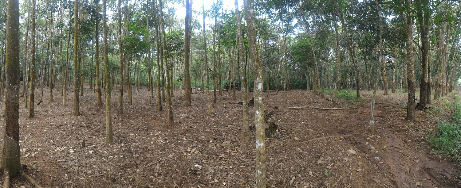 header_2.jpg