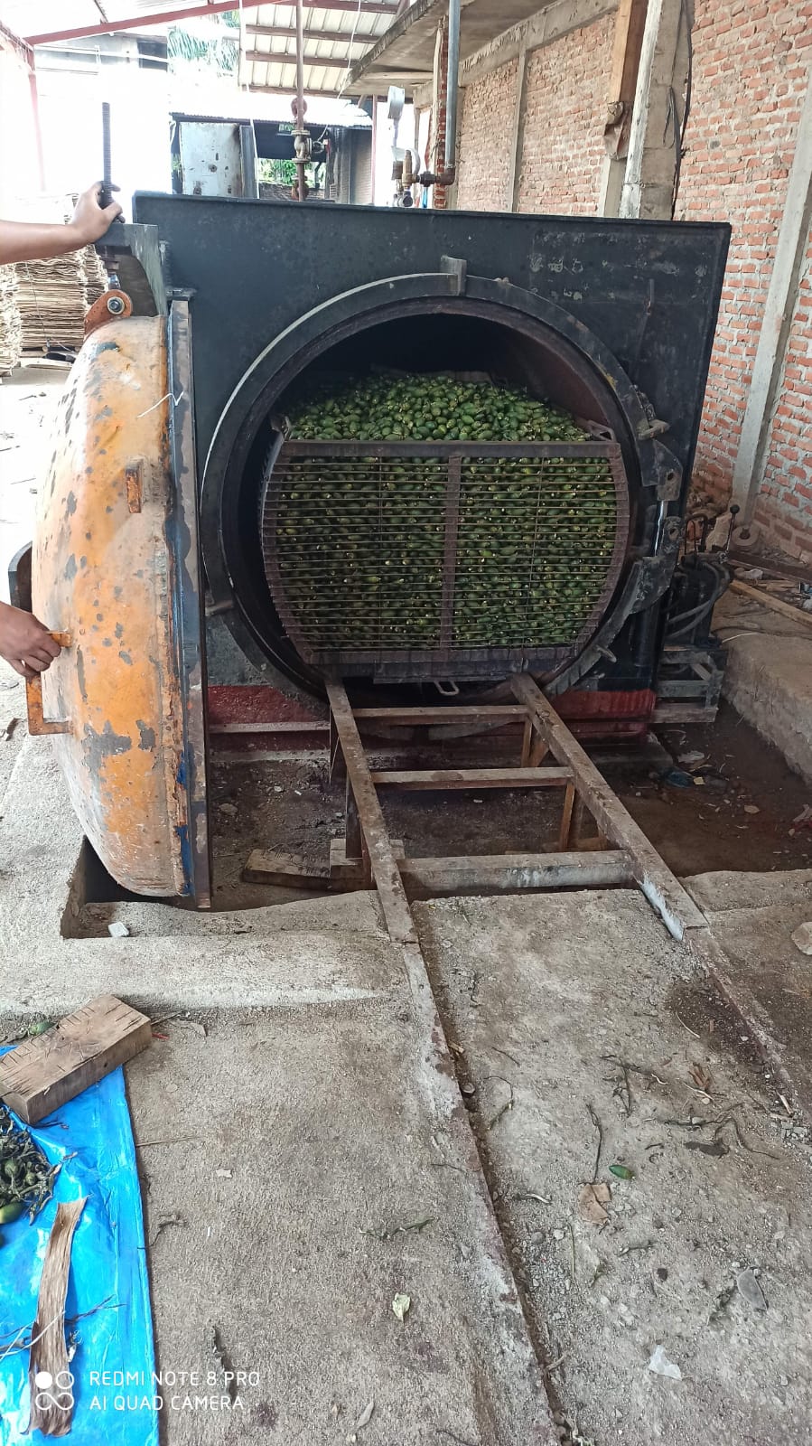 Process Betel