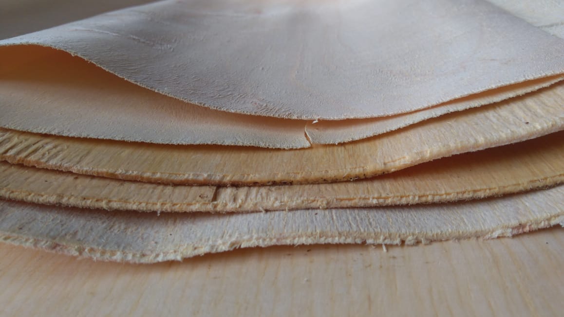 veneer.jpeg